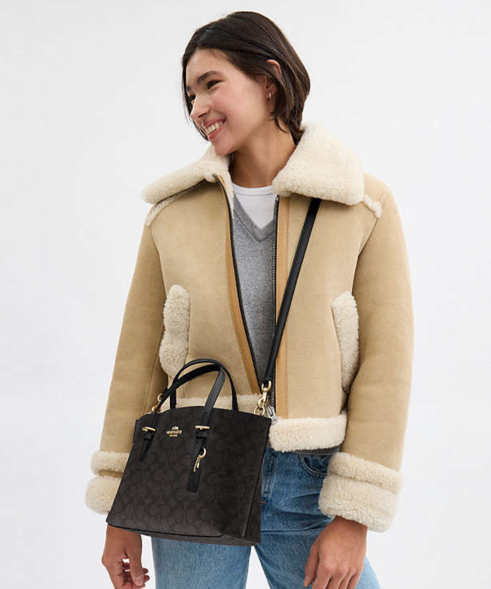 Coach Mollie Tote Bag 25 In Signature Canvas
