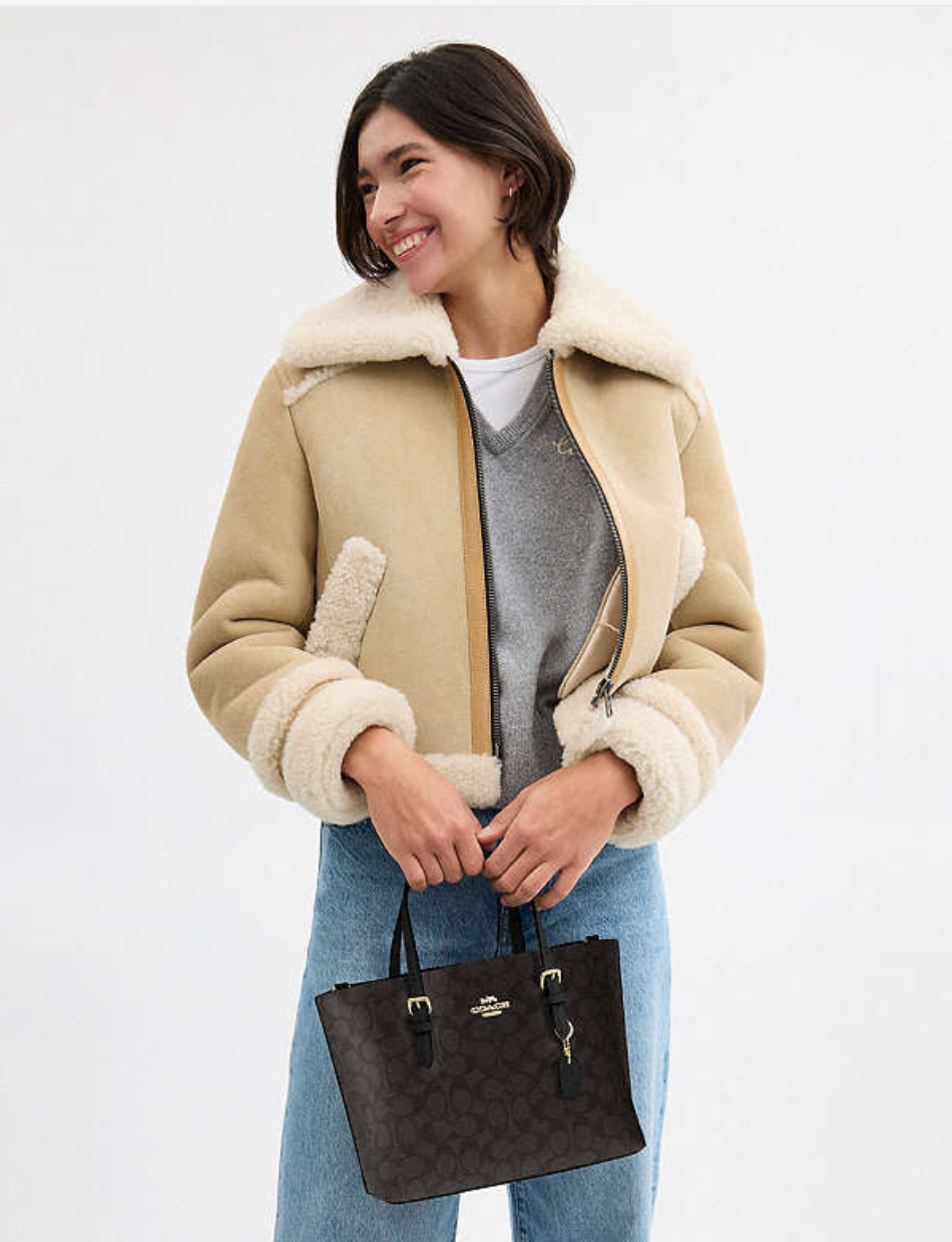 Coach Mollie Tote Bag 25 In Signature Canvas