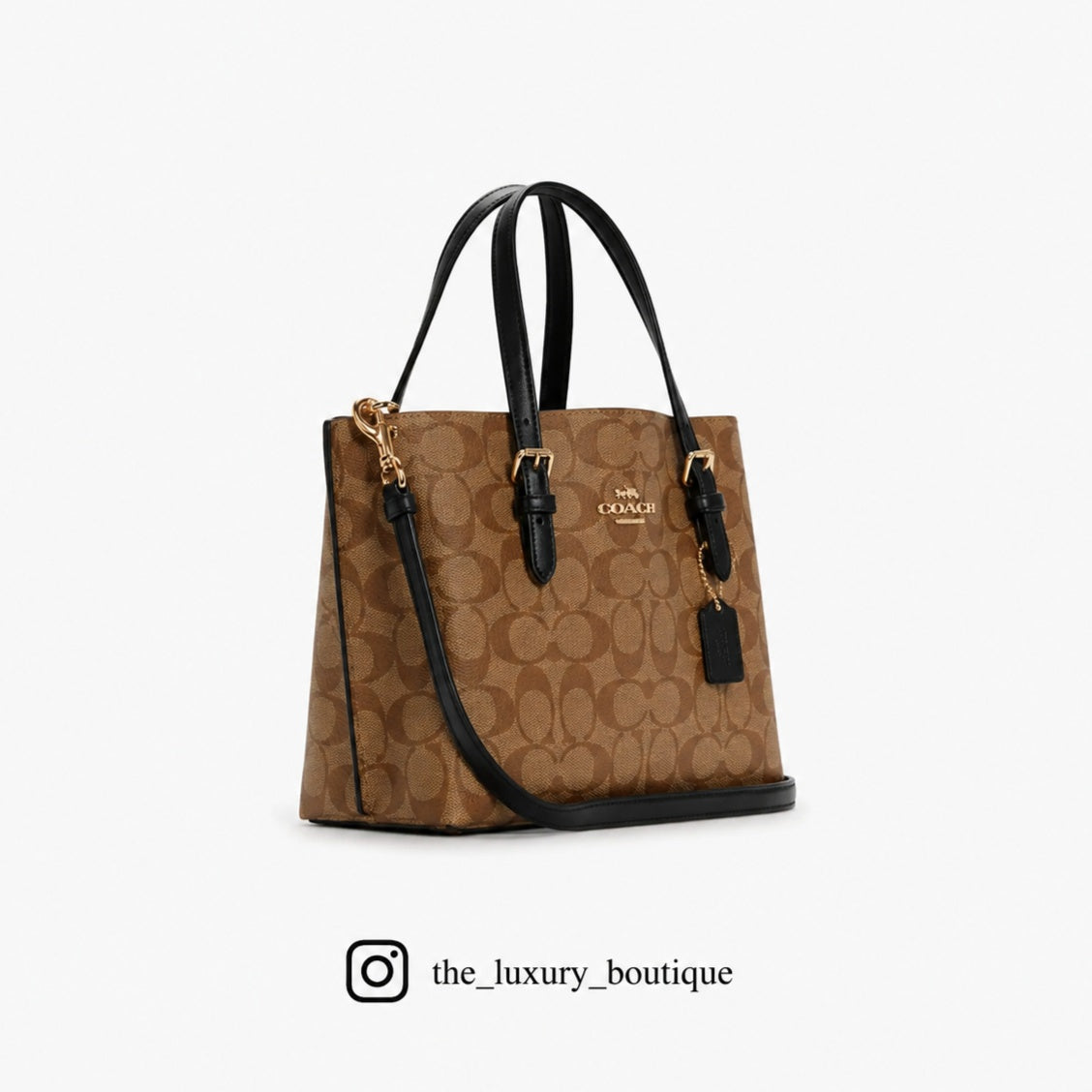 Coach Mollie Tote Bag In Signature Canvas