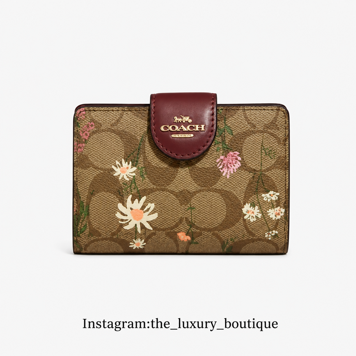 Medium Corner Zip Wallet In Signature canvas IM/Khaki Multi With Wildflower Print