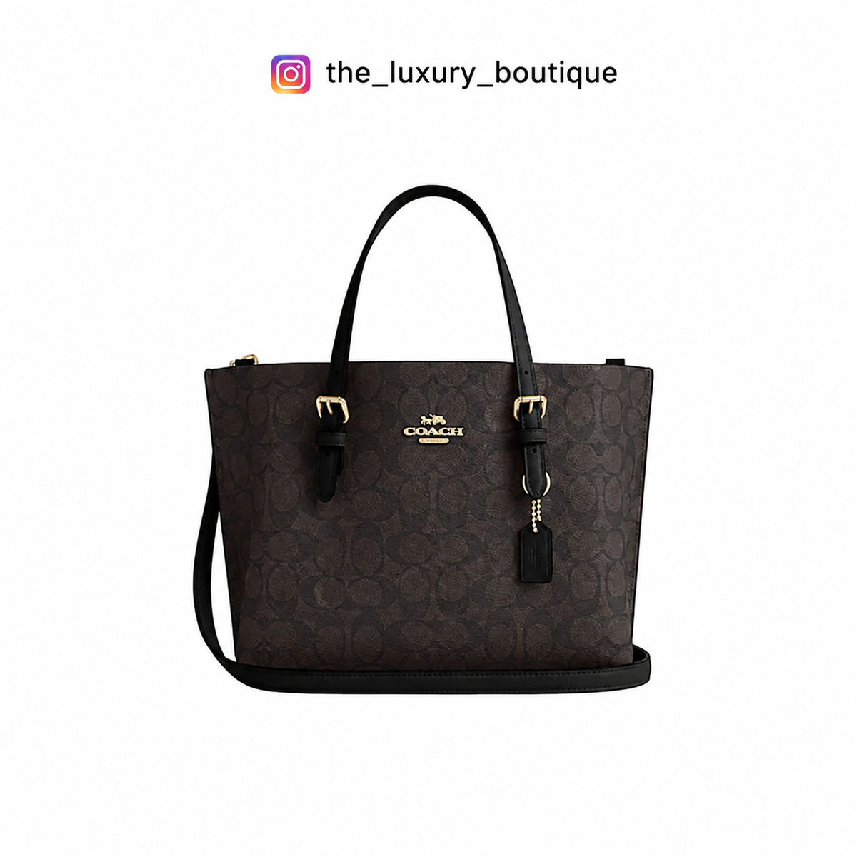 Coach Mollie Tote Bag 25 In Signature Canvas